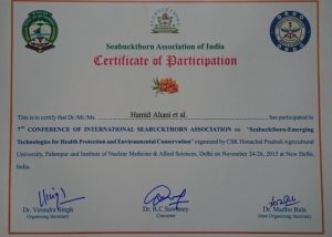 کاشت درختچه چندمنظوره زینتی-دارویی سیبکتورن | acebuckthorn