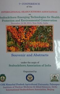 کاشت درختچه چندمنظوره زینتی-دارویی سیبکتورن | acebuckthorn