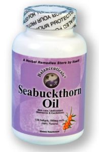 کاشت درختچه چندمنظوره زینتی-دارویی سیبکتورن | acebuckthorn