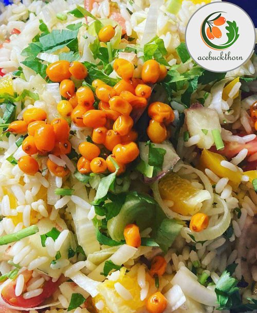 انواع محصولات میوه سیبکتورن | فروشگاه سیبکتورن