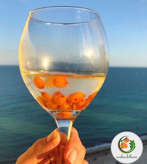 Sea-buckthorn-(6)