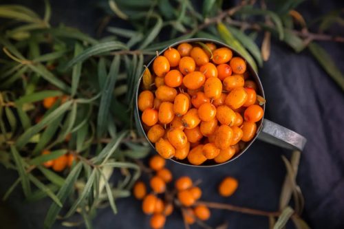 buckthorn
